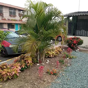 De Maria Guayaquil